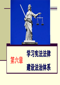 学习宪法法律建设法治体系