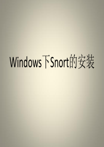 安装snort