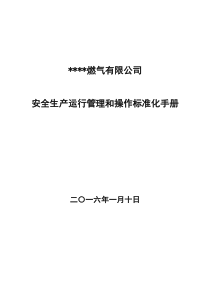 燃气有限公司安全生产运行管理 -