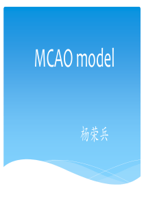 MCAO模型