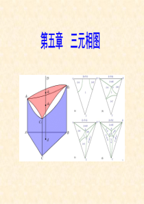 第五章 三元相图剖析