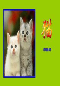 郑振铎《猫》ppt