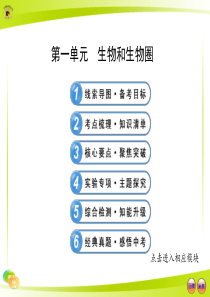 #2017年初中生物复习ppt--课件