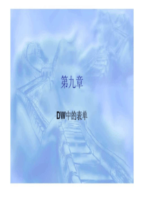 第九章DW中的表单