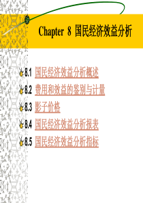 Chapter  8  国民经济效益分析