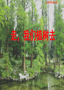 走我们去植树PPT课件