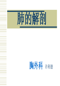 43肺的解剖及分段