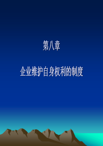 建设法规8企业维护自身权利的制度