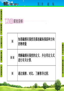 物理选修3-1成才之路课件磁场3-2