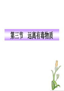 化学九年级下鲁教版 10.3 远离有毒物质课件(43张)