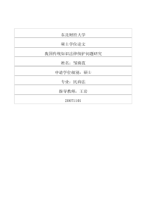 我国传统知识法律保护问题研究