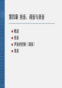 电视节目制作(4)