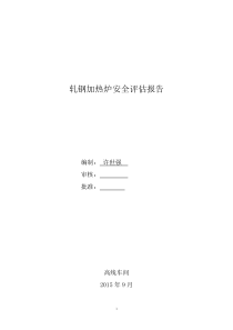 高线加热炉安全评估报告()