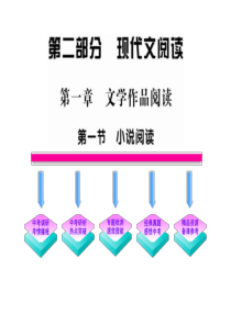 2012版初中语文新课标全程复习课件  小说阅读(专题突破版)