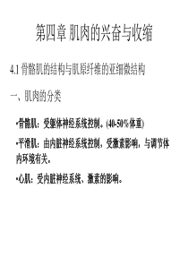 动物生理学  第四章 肌肉的兴奋与收缩  课件