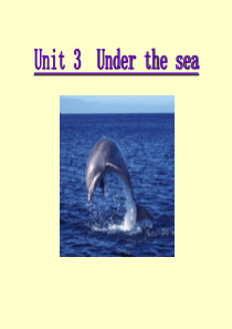 选修7 Unit 3 Under the sea-Reading阅读课件