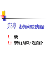 第五章 滚动轴承的公差与配合