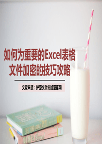 如何为重要的Excel表格文件加密的技巧攻略