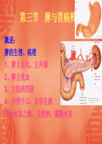 中医诊断学 第五章 脏腑辨证(三 脾与胃)