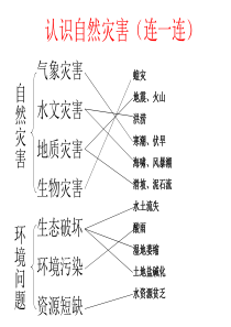 自然灾害图片展示介绍