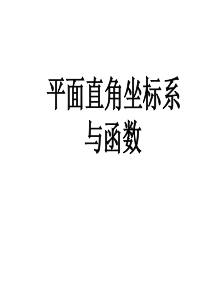 2013《平面直角坐标系与函数》资料