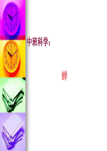 中班科学：蝉