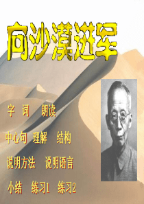 向沙漠进军PPT课件