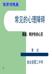 常见的心理障碍 ppt