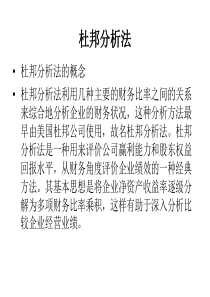 杜邦分析体系课件