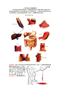 上消化道出血健康教育