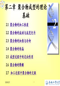 聚合物成型加工原理02