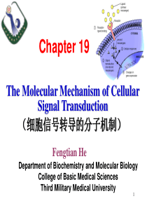 细胞信号传导的分子技术