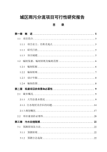 城区雨污分流项目可行性研究报告