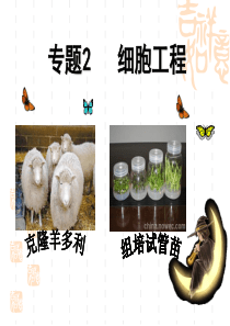 2015-植物细胞工程的应用1