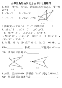 全等三角形判定SAS专题练习