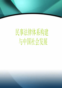 民事法律体系构建与中国社会发展