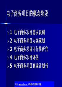 电子商务项目的概念阶段(ppt 42)