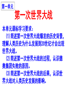 1.1 第一次世界大战 (共18张PPT)