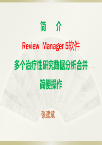 Review Manager 计算功能介绍