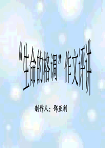 “生命的格调”作文评讲ppt