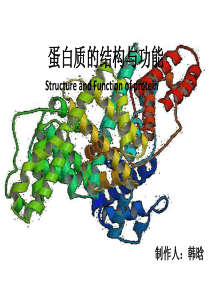 生化论文PPT蛋白质的结构与功能