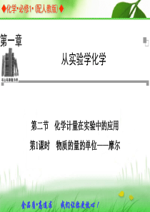 2013-2014学年高中化学人教版必修一同步辅导与检测课件：1.2 第1课时 物质的量的单位――摩