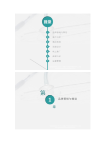 电子商务运营思路分析及策划方案要点