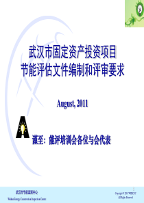 武汉市固定资产投资项目节能评估文件编制和评审要求1