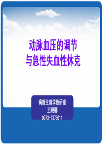 动脉血压的调节与急性失血性休克