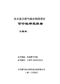 天然气综合利用项目可行性研究报告