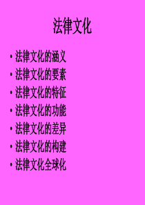 法律文化4609815114