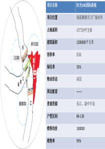 重庆南坪房地产项目分析