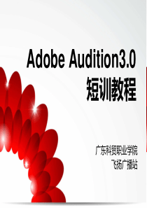 Adobe Audition 3.0短训教程