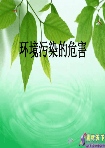 环境污染的危害 (1)